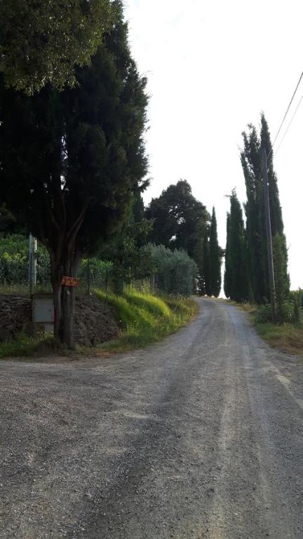Agriturismo Villino del Grillo - 3