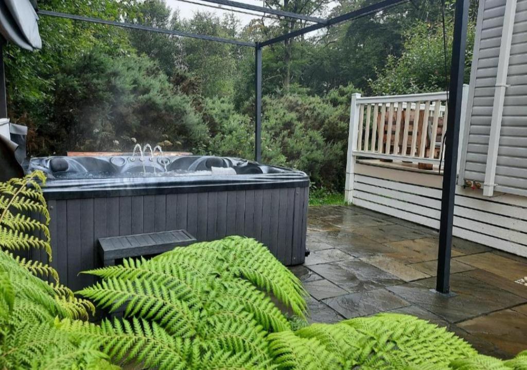 The Treehouse Northumberland photo 3