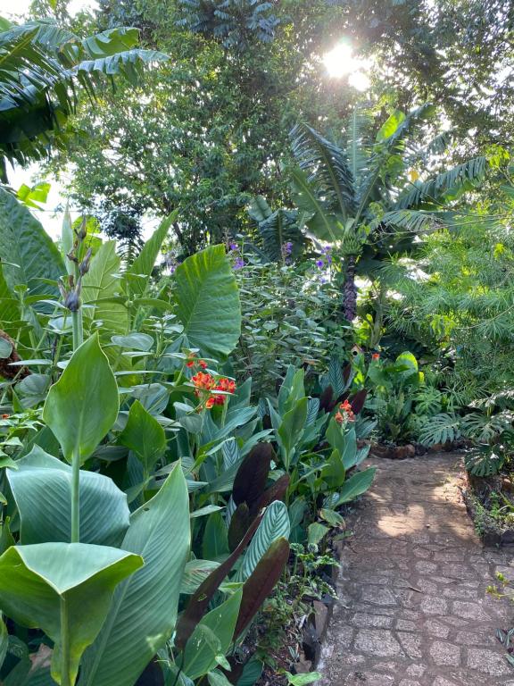 Cabañas Paraíso Iguazú - 3