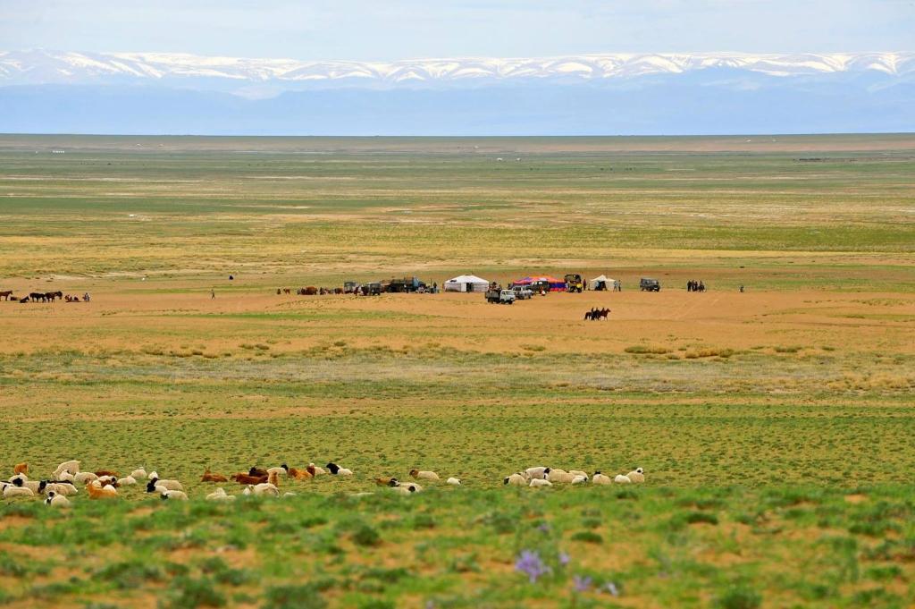 Exterior view, Adventure Riders Mongolia in Ulaanbaatar