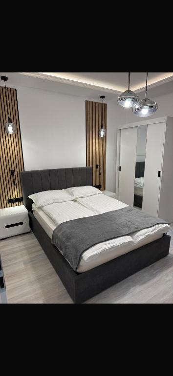 Two Residence, Satu Mare