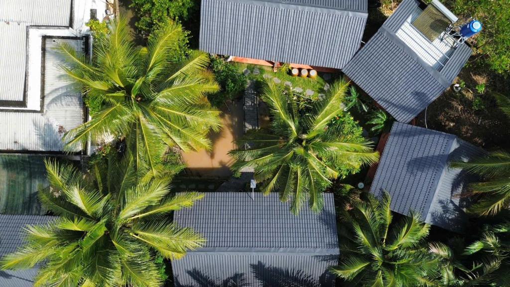 Homestay Bentre Coco Lodge, Ben Tre