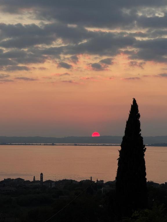 Collina del Lago - 2
