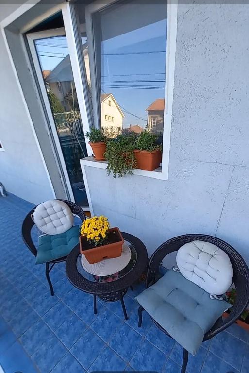 Urban Yard Retreat - 3