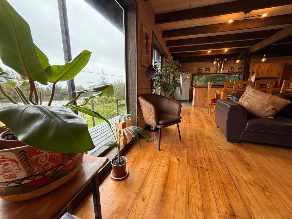 La madriguera Matanzas - 1