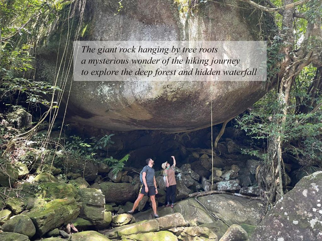 Surrounding environment