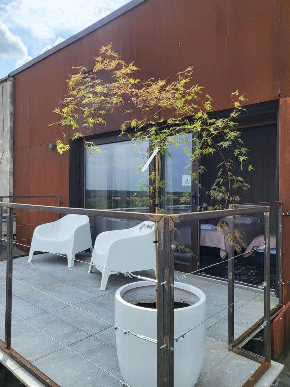 Synet CoLiving 전경