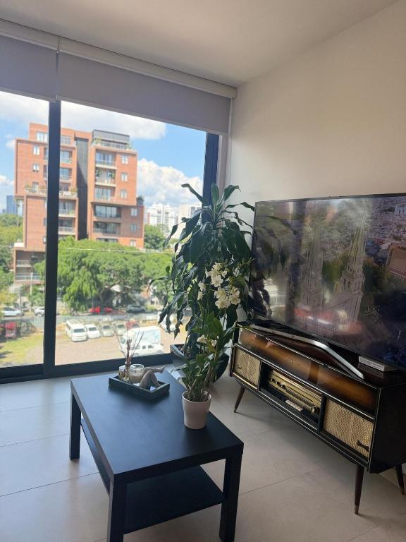 Soneto 603, Guadalajara