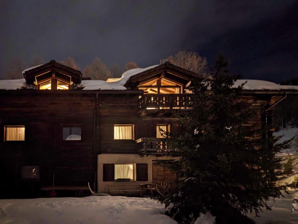 Silva: The Alpine Chalet - 3
