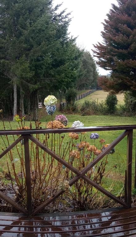 Cabaña en el campo - 3