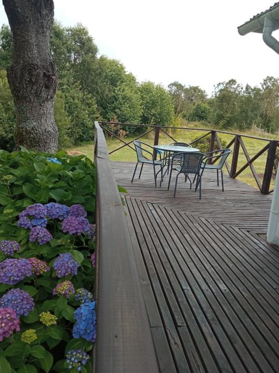 Cabaña en el campo - 5