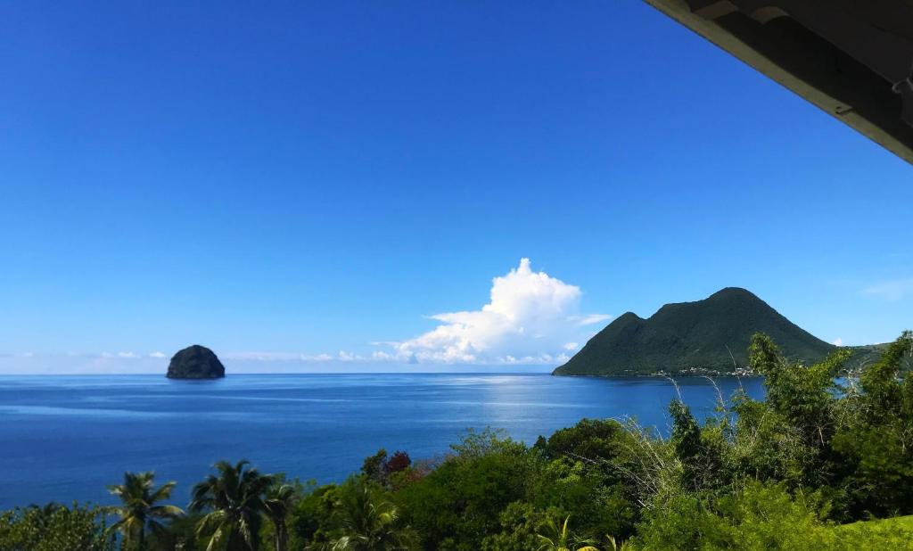 Ti studio coquet vue mer 180 degrés face Diamant, piscine de standing, Le Diamant