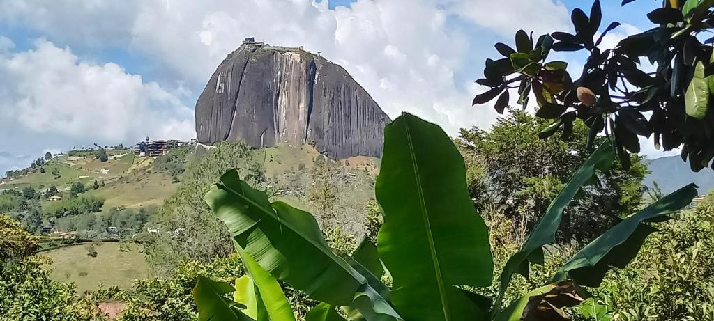 Casa de Campo Bheta - 3