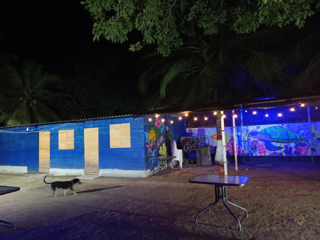 Cabañas y zona de camping Elis Johana - 5