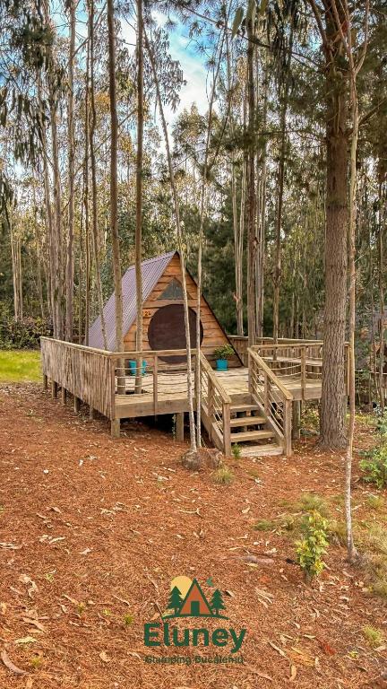Glamping Eluney Bucalemu - 2