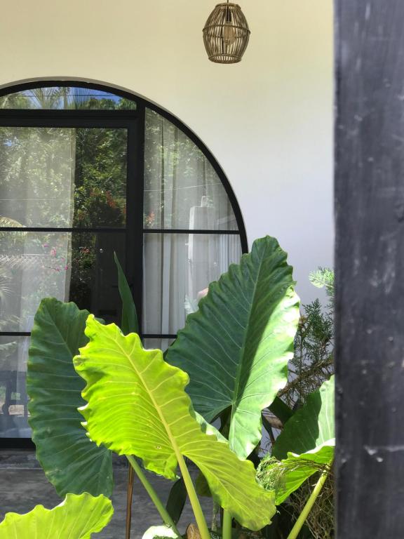 THE ISLaNDERS, Ahangama