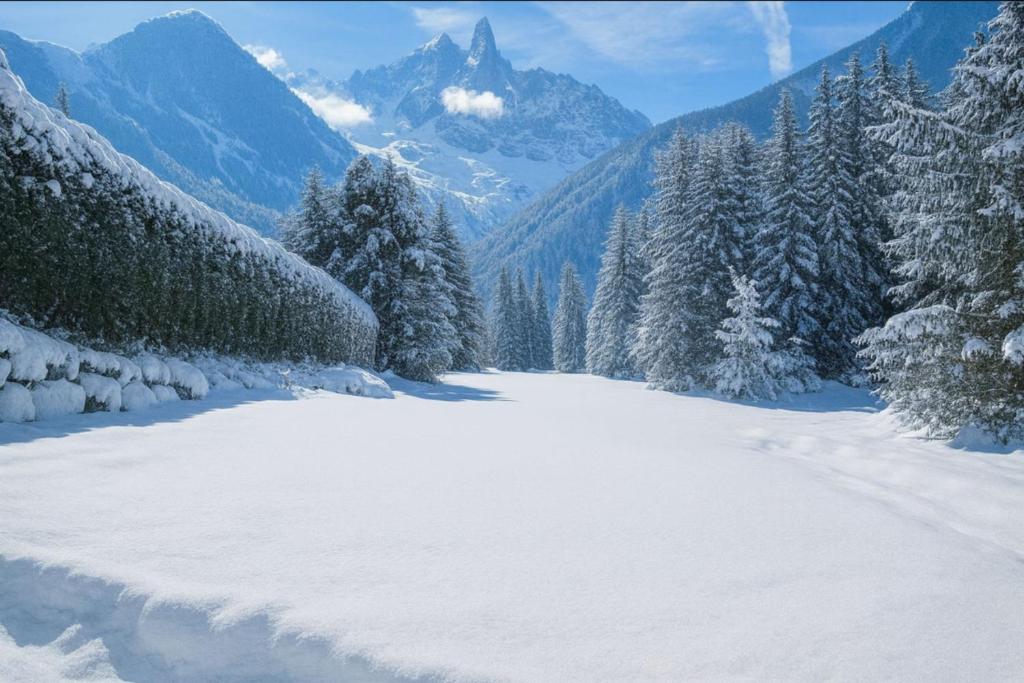 Semi Detached Chalet For 8 With Balcony & Garden, Chamonix-Mont-Blanc