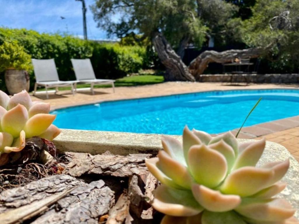 Hermanus Self-Catering, Hermanus