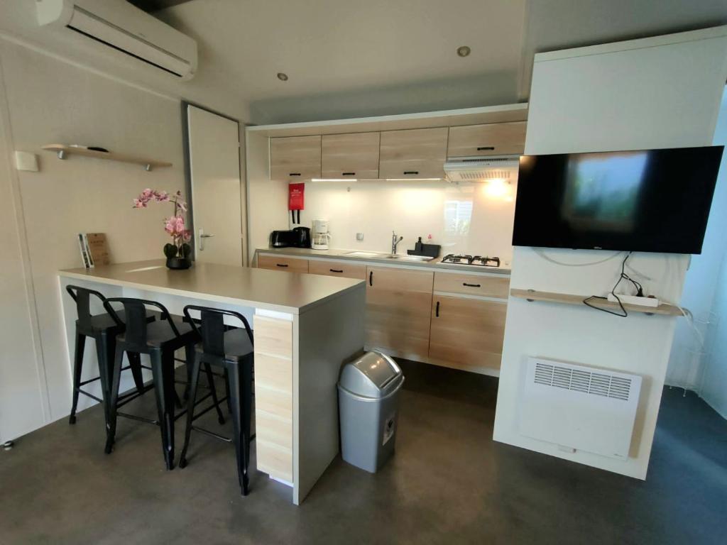 MOBILHOME 6-8 PERSONNES Camping LES VIVIERS 4 ETOILES CAP FERRET - 5