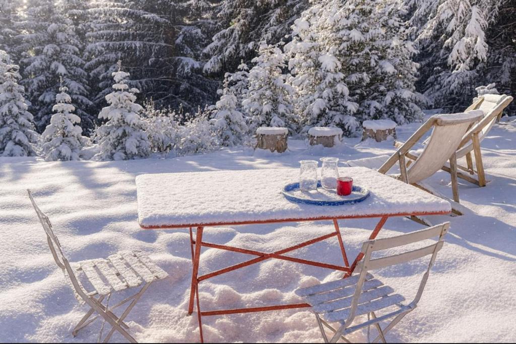 A little corner of paradise in the heart of nature, Chamonix-Mont-Blanc