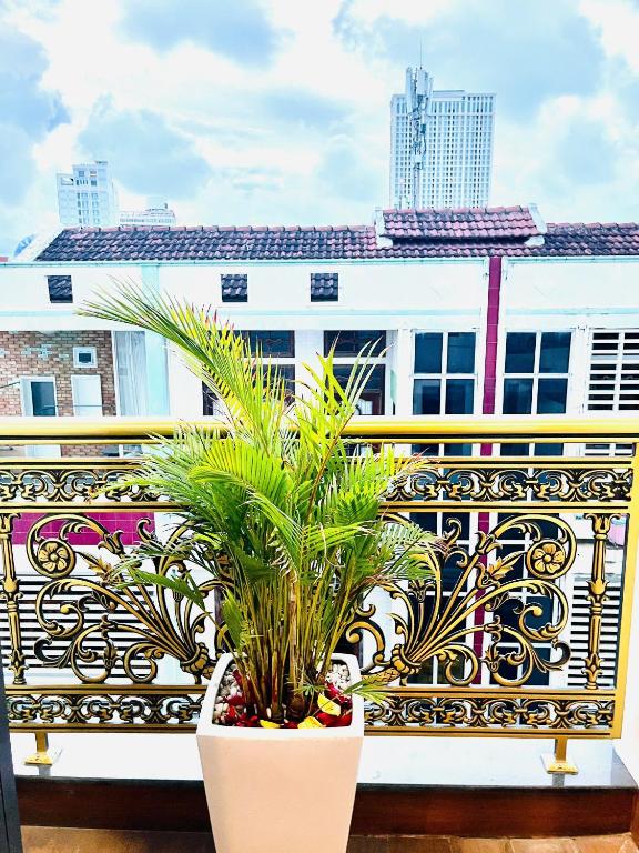 Homestay Lumia Gold