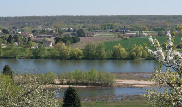 Jardin sur Loire - 5