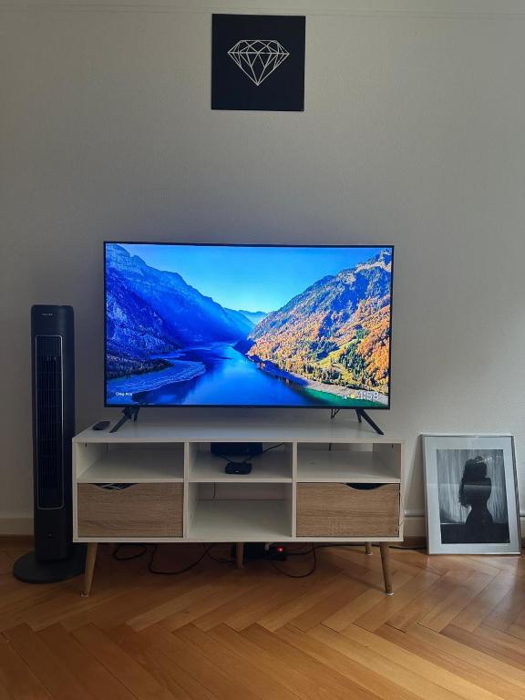 Renovated Apartment - Lausanne - 4