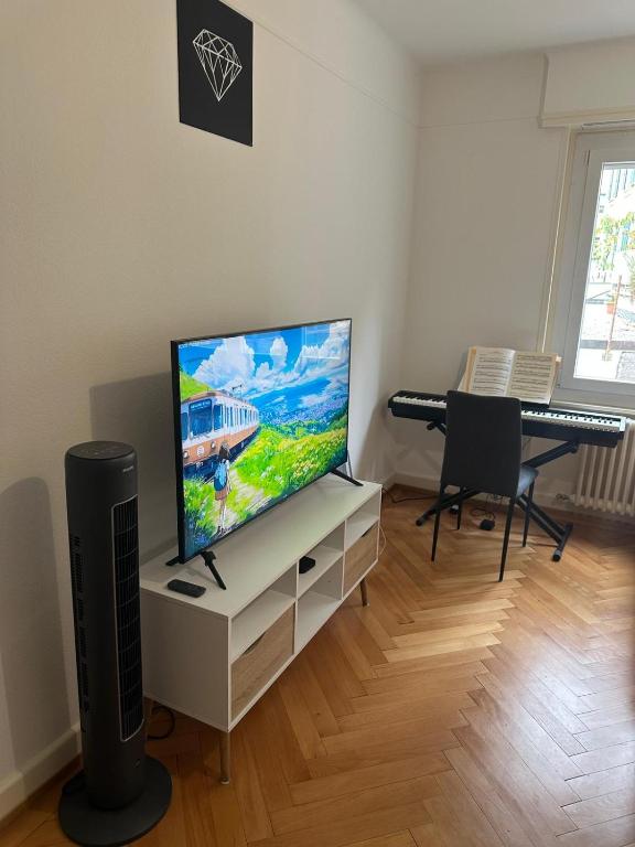 Renovated Apartment - Lausanne - 3