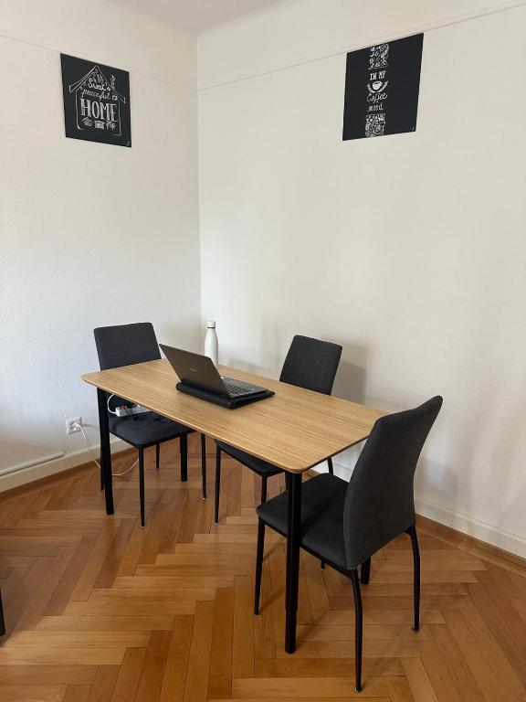 Renovated Apartment - Lausanne - 5
