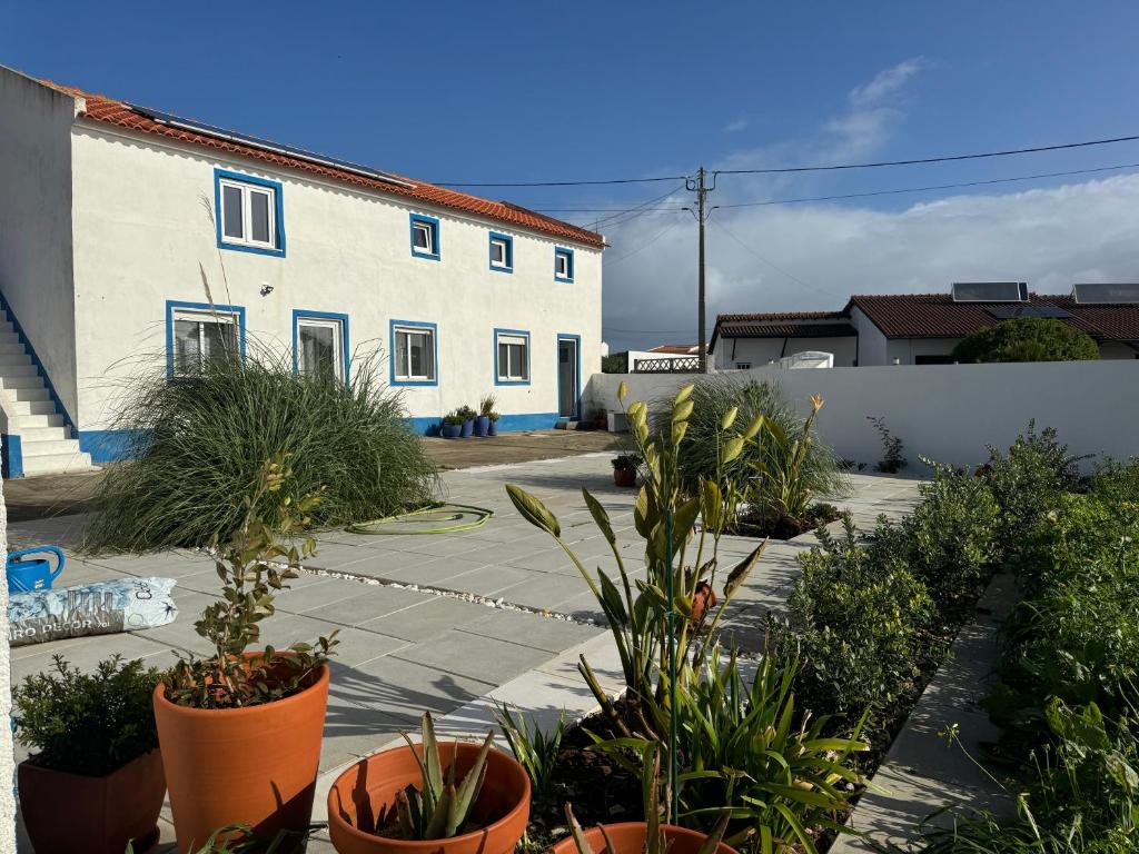 Octopus Space, São Martinho do Porto