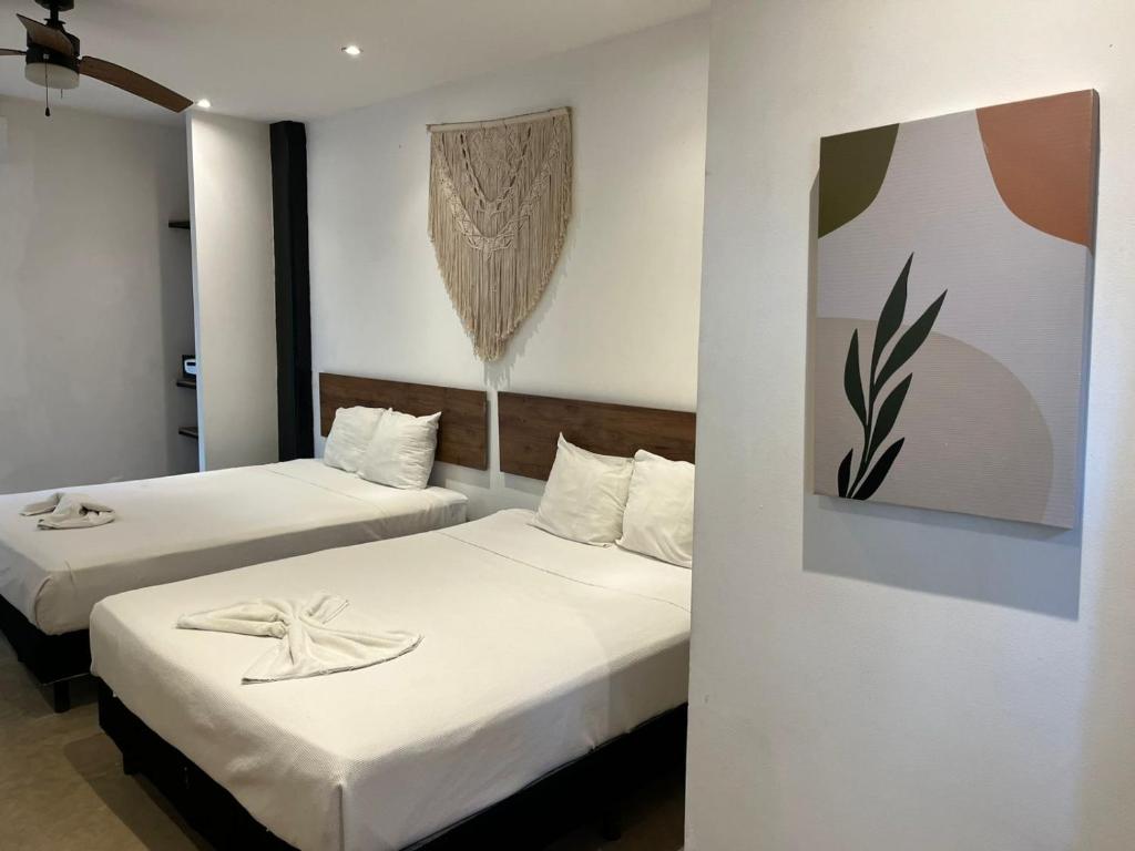 Live Coco Suites - Hotel Boutique & Rooftop - 5