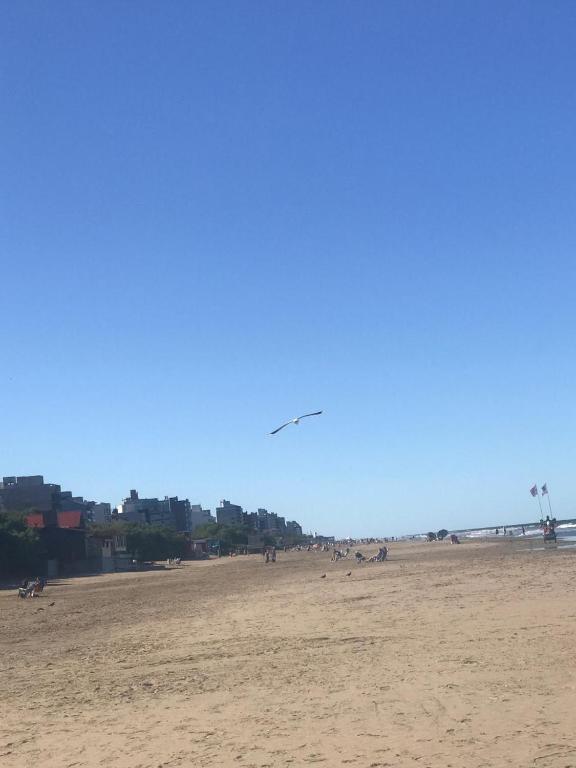 Departamento Bless - 2