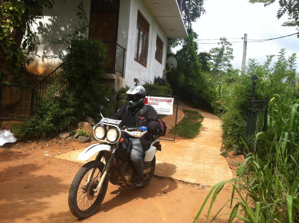 アクティビティ