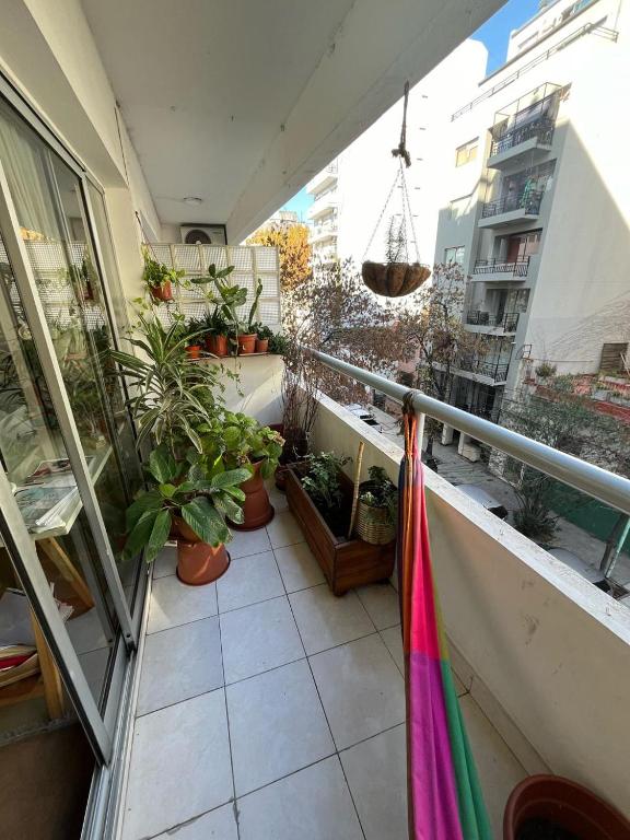 Beautiful apartment in Palermo - 3