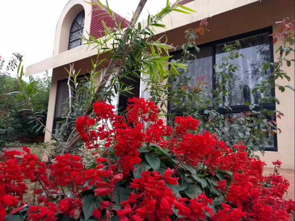 Garden Villa photo