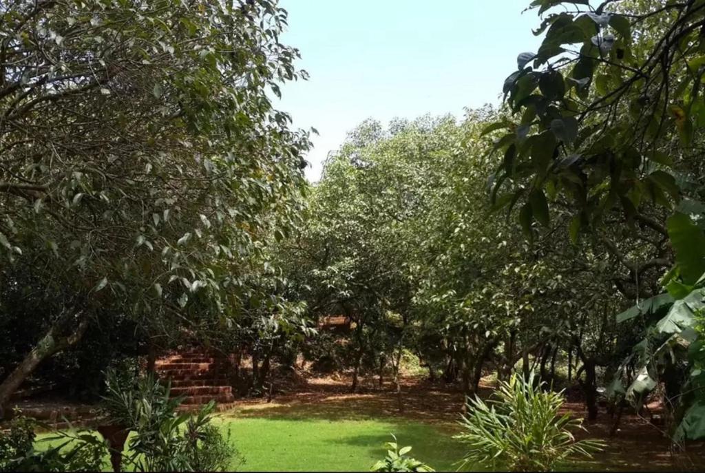 Garden Villa photo