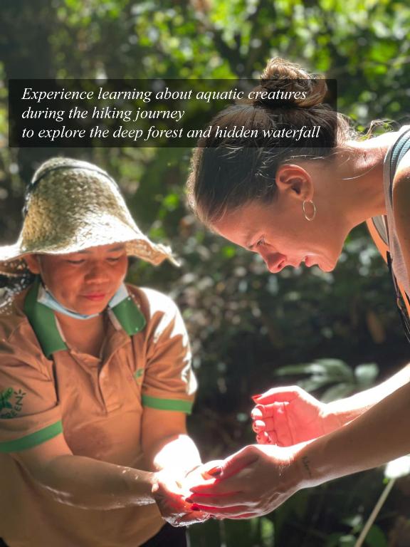 Surrounding environment