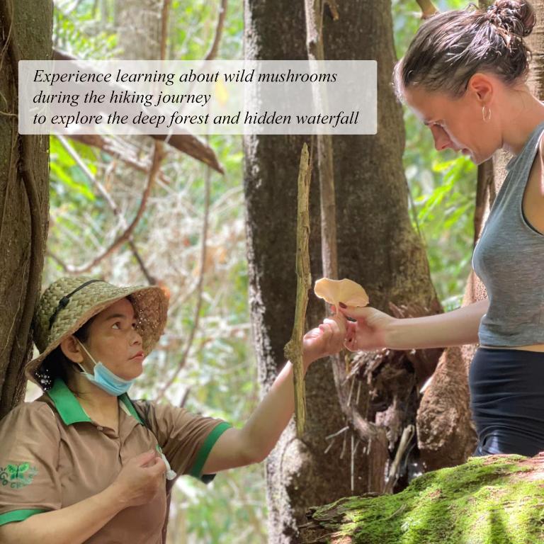 Surrounding environment