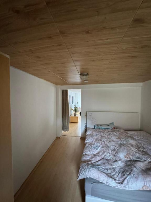 Von Rosenthal Apartment - Nähe Zentrum, Tuttlingen