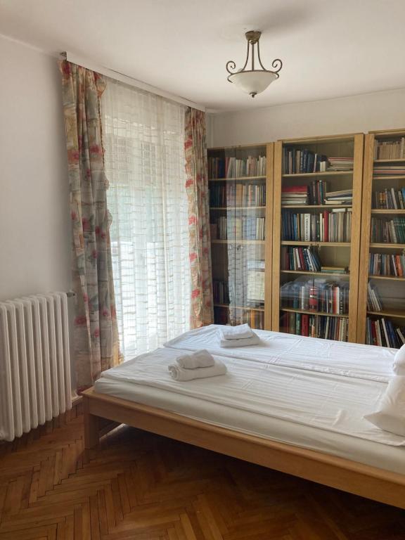 Galaxy apartment Belagrade - 5