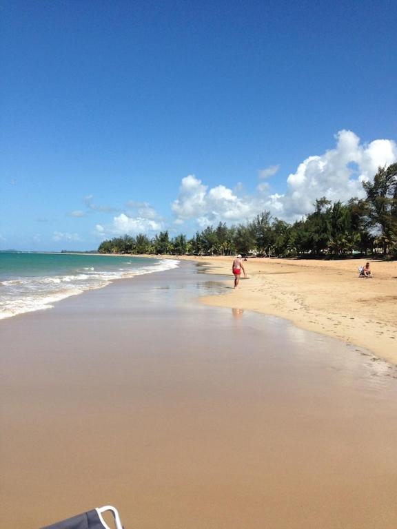 Beachfront Paradise, Las Coles