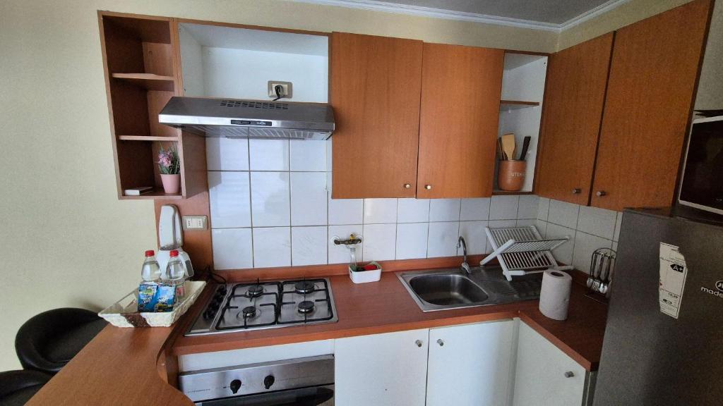 Santiago Centro Depto 2D1B parking free metro Universidad de Chile a 3 cuadras, wifi incuido - 3