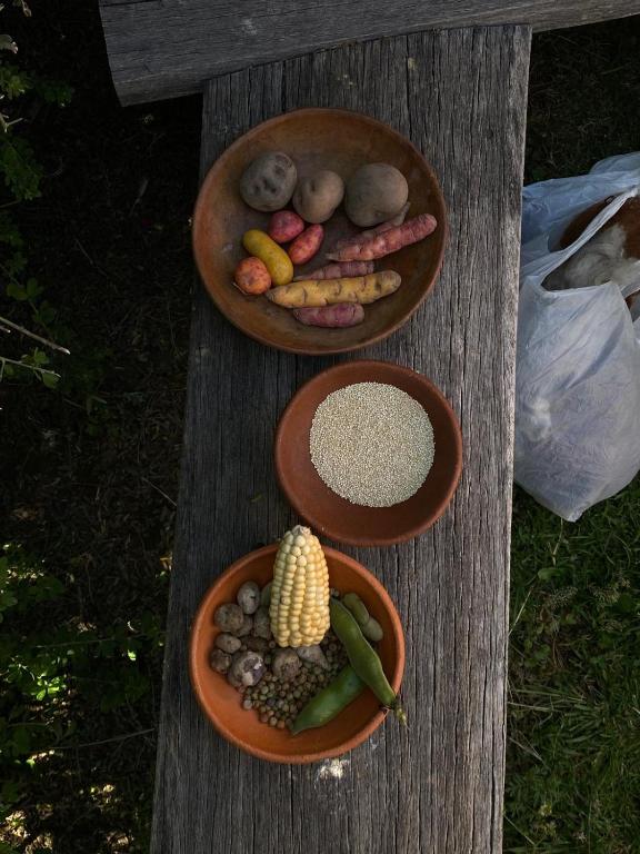 Titicaca Lodge Amantani - 2