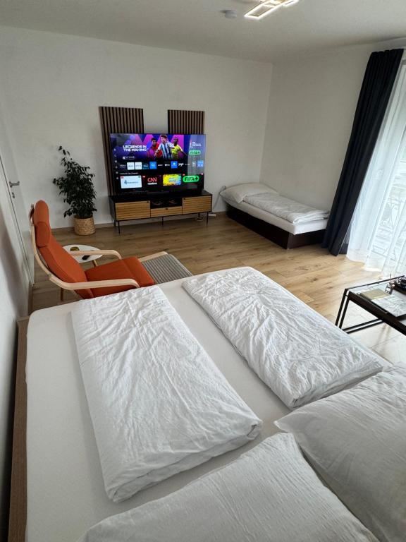 Daheim, in der Ferne, Schalchham