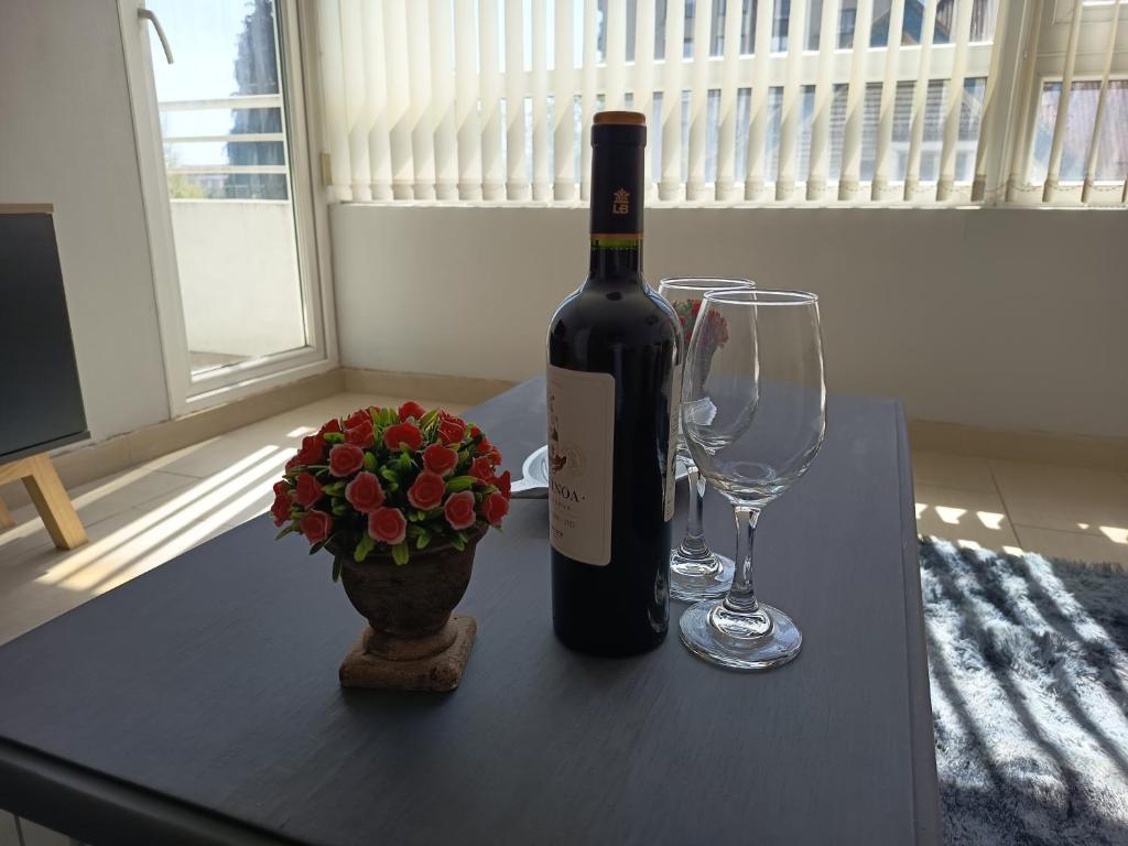 Arriendo departamento a pasos de Mall Portal Temuco - 3
