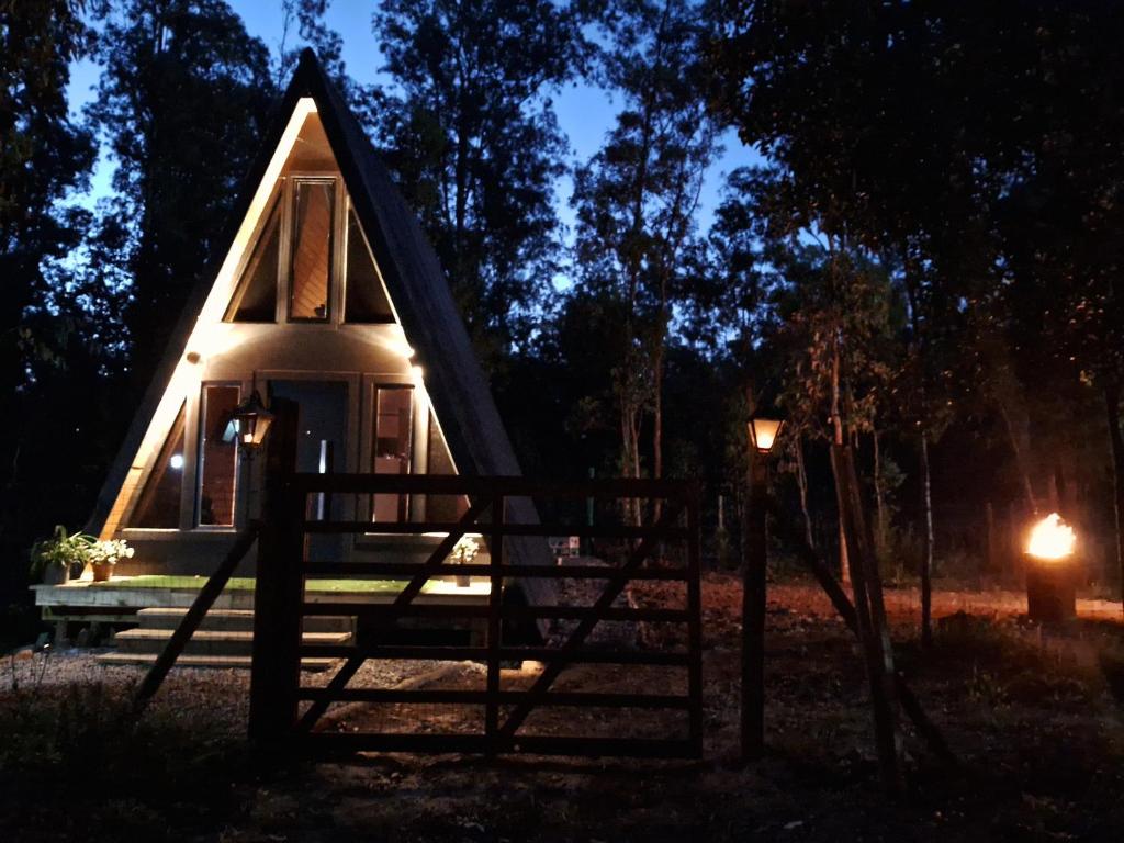 Alpinas del bosque - 1