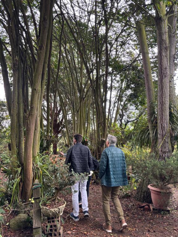 Tajara Parque Ecológico - 3