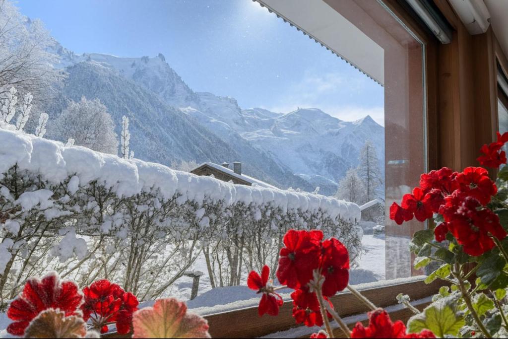 Bright apartment - near Mont Blanc, Chamonix-Mont-Blanc