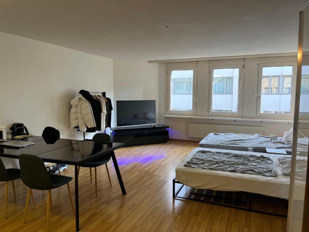 Zentral gelegene Stadtwohnung Zürich, Arni Alp