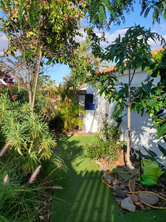 Très BEAU BUNGALOW,JARDIN TROPICAL, RENOVATION ETE 2020 - 3